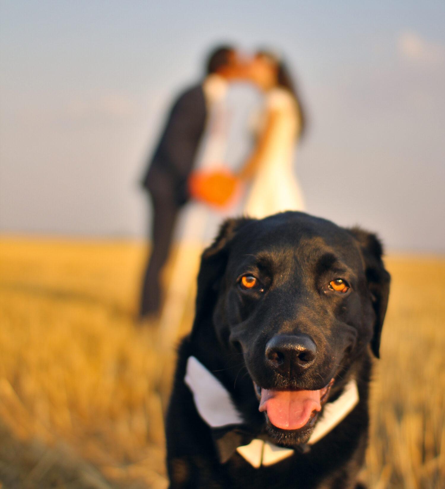 Nevidiaci Juraj Práger: Chcel by som vidieť, ako to vidí Pán Boh