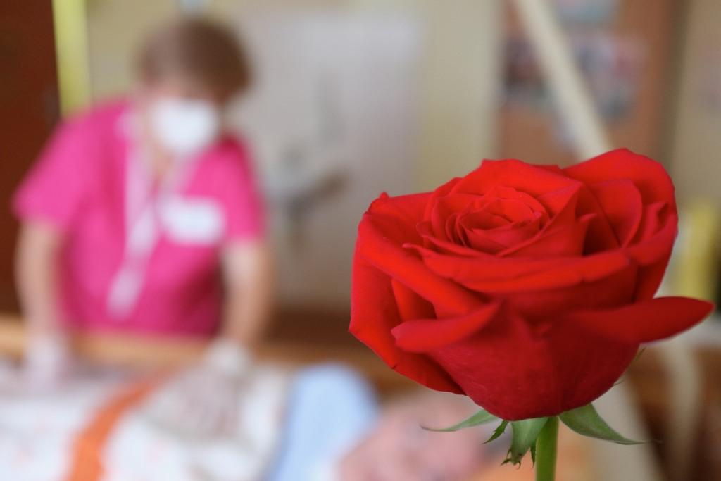 To vy ste celebrity! Povedal nám 3 dni pred svojou smrťou