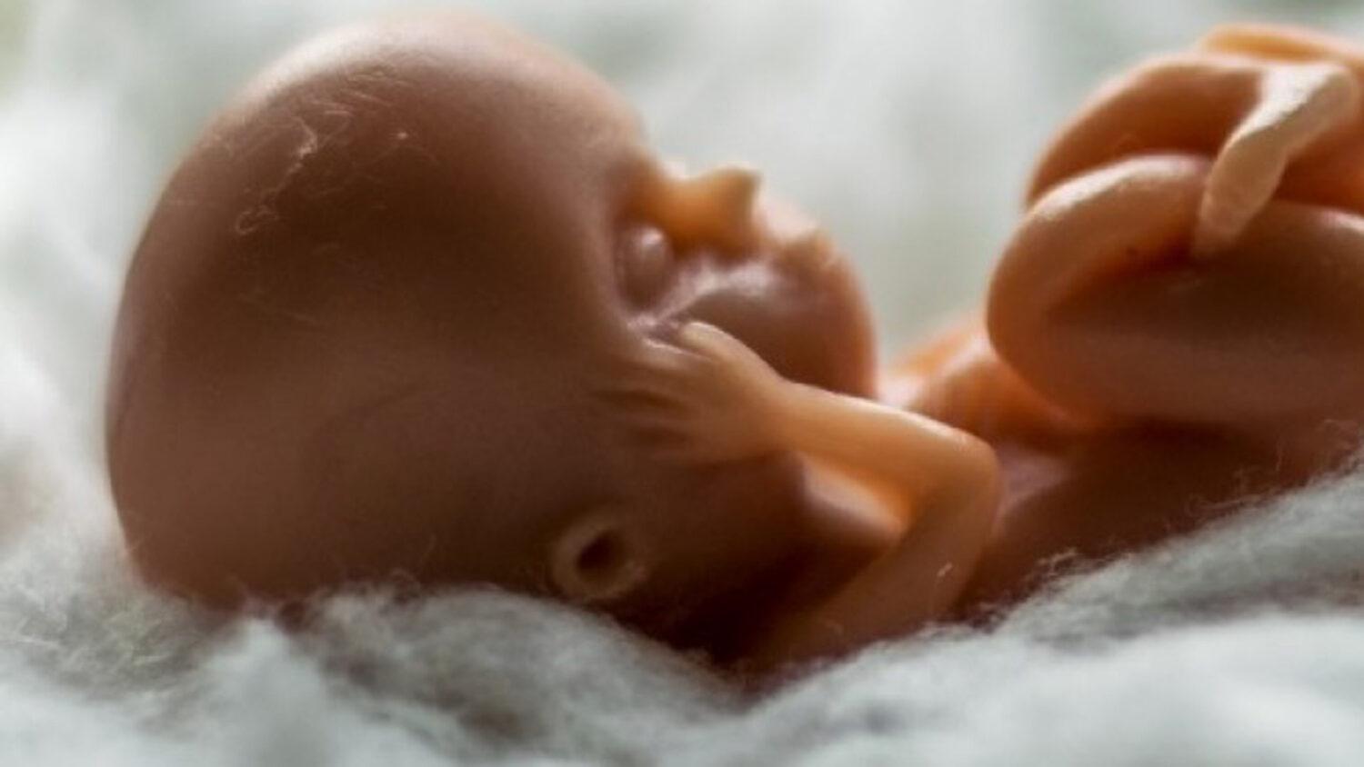 [k voľbám] Zapredané hodnoty. Nevidia katolíci za roh?