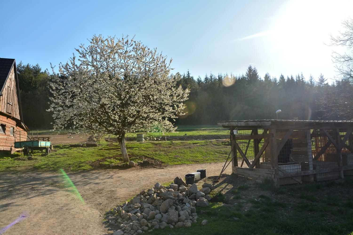 Komunita Poloma: Závislí potrebujú Božie milosrdenstvo