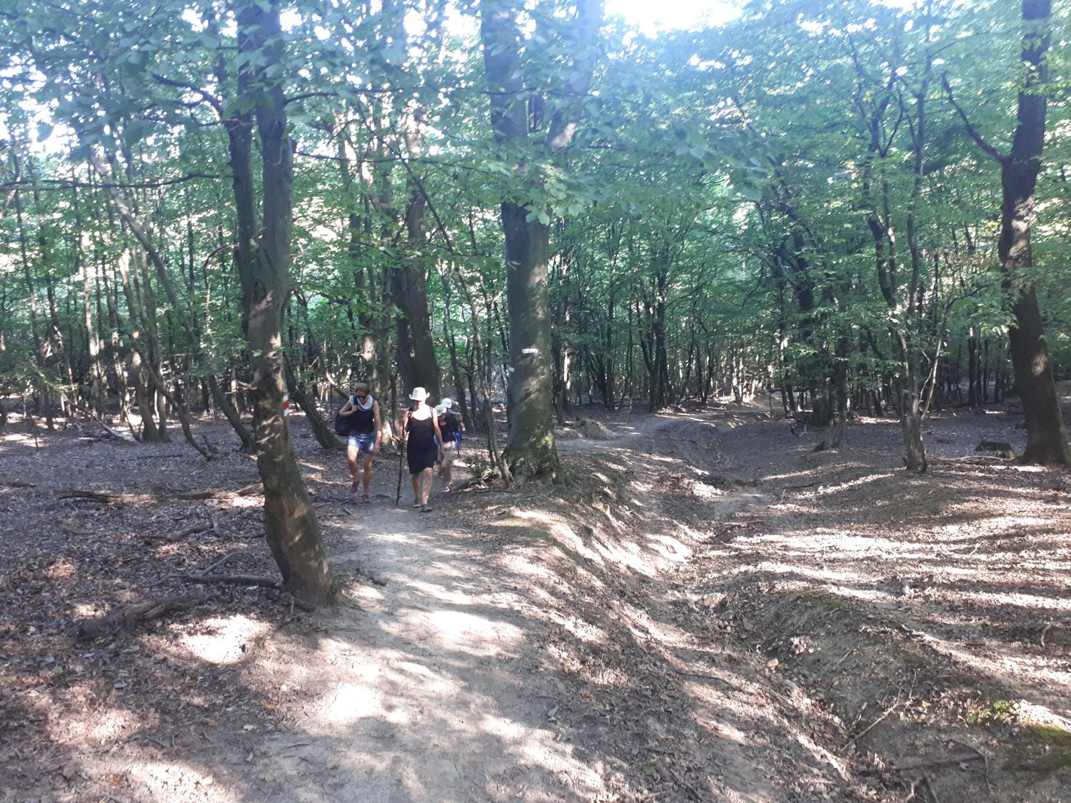 Ohliadnutie pútnika Jakuba za Svätojakubskou cestou