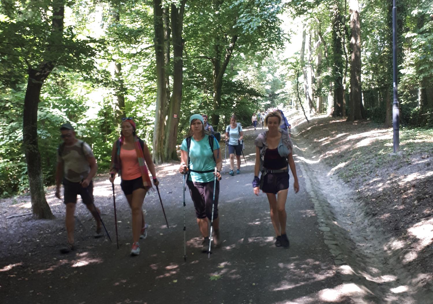 Ohliadnutie pútnika Jakuba za Svätojakubskou cestou