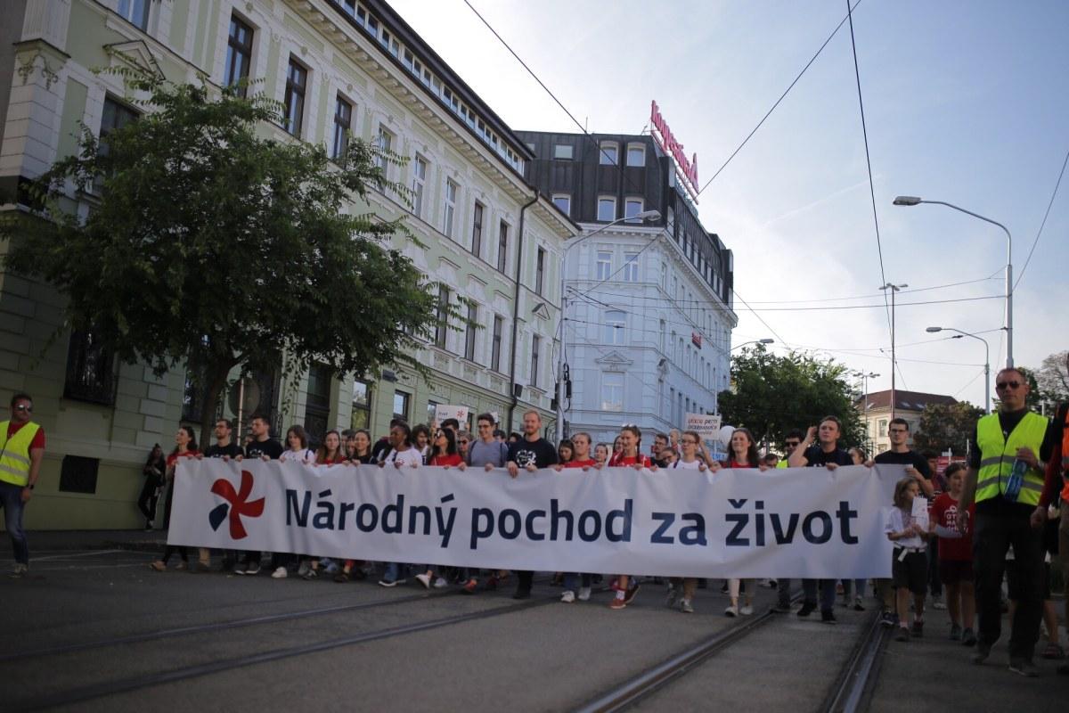 Podľa gynekológa je ultrazvuk bezpečný. Organizátori Národného pochodu za život vítajú schválenie lepšej informovanosti matiek pred potratom