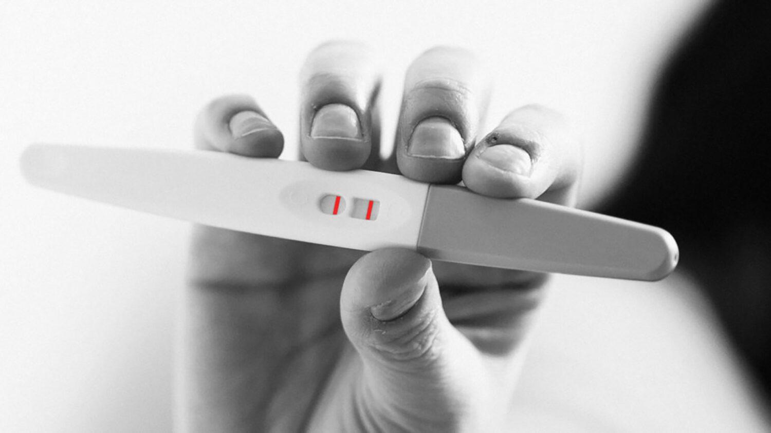 Poradňa Alexis ,n.o. oslavuje 10 rokov od svojho založenia