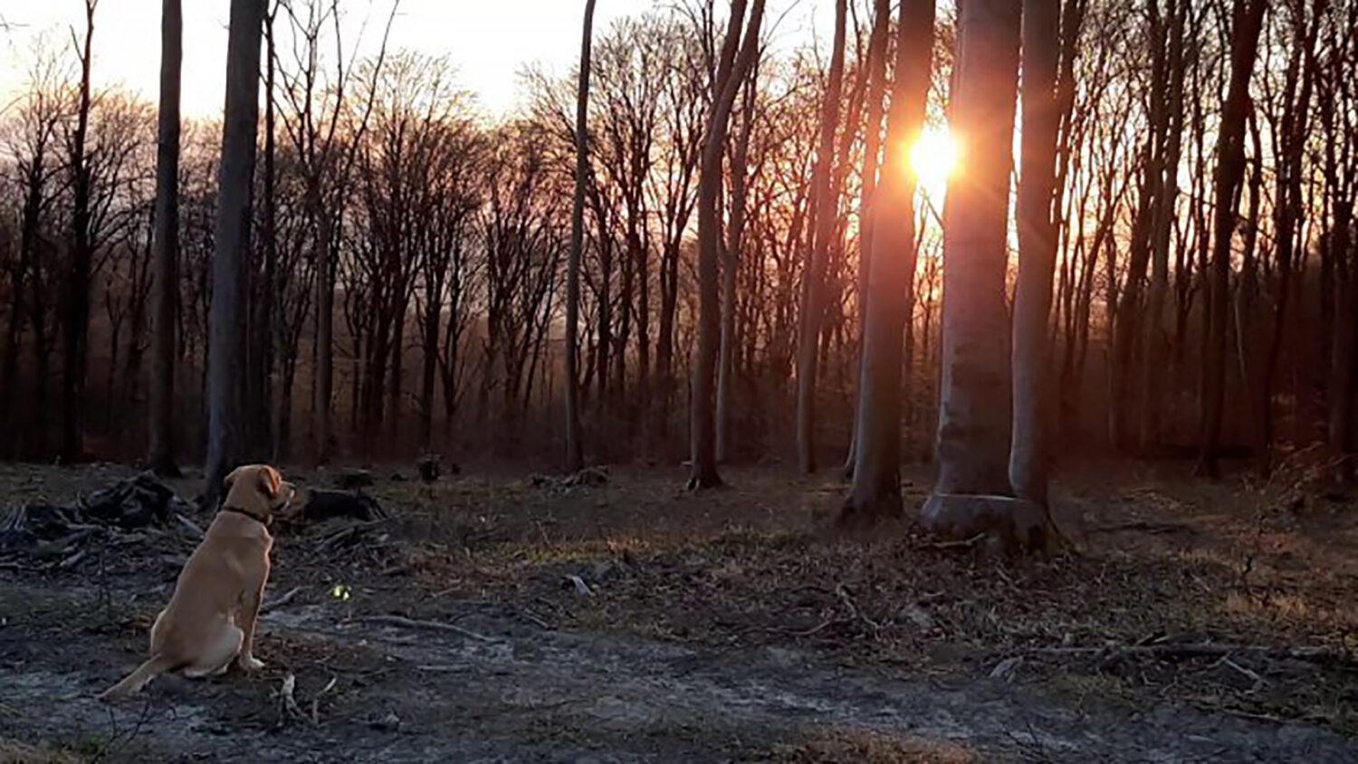 Lekárka Mária Jasenková: Teraz ku mne ticho prehovára