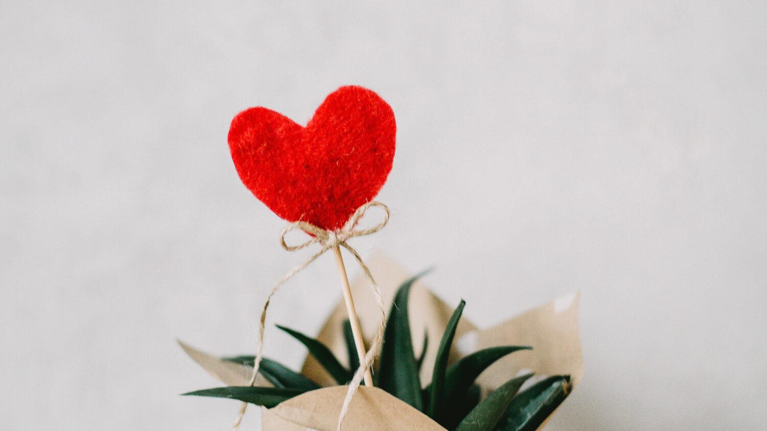 Poďme spolu nakaziť svet – láskou!