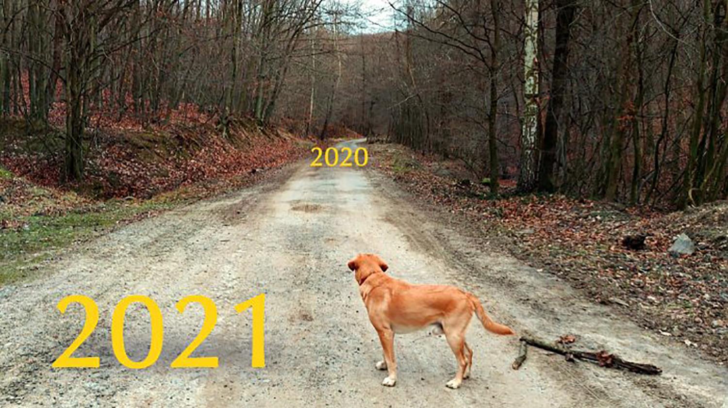 O tichu a dimenzii „My, všetci“