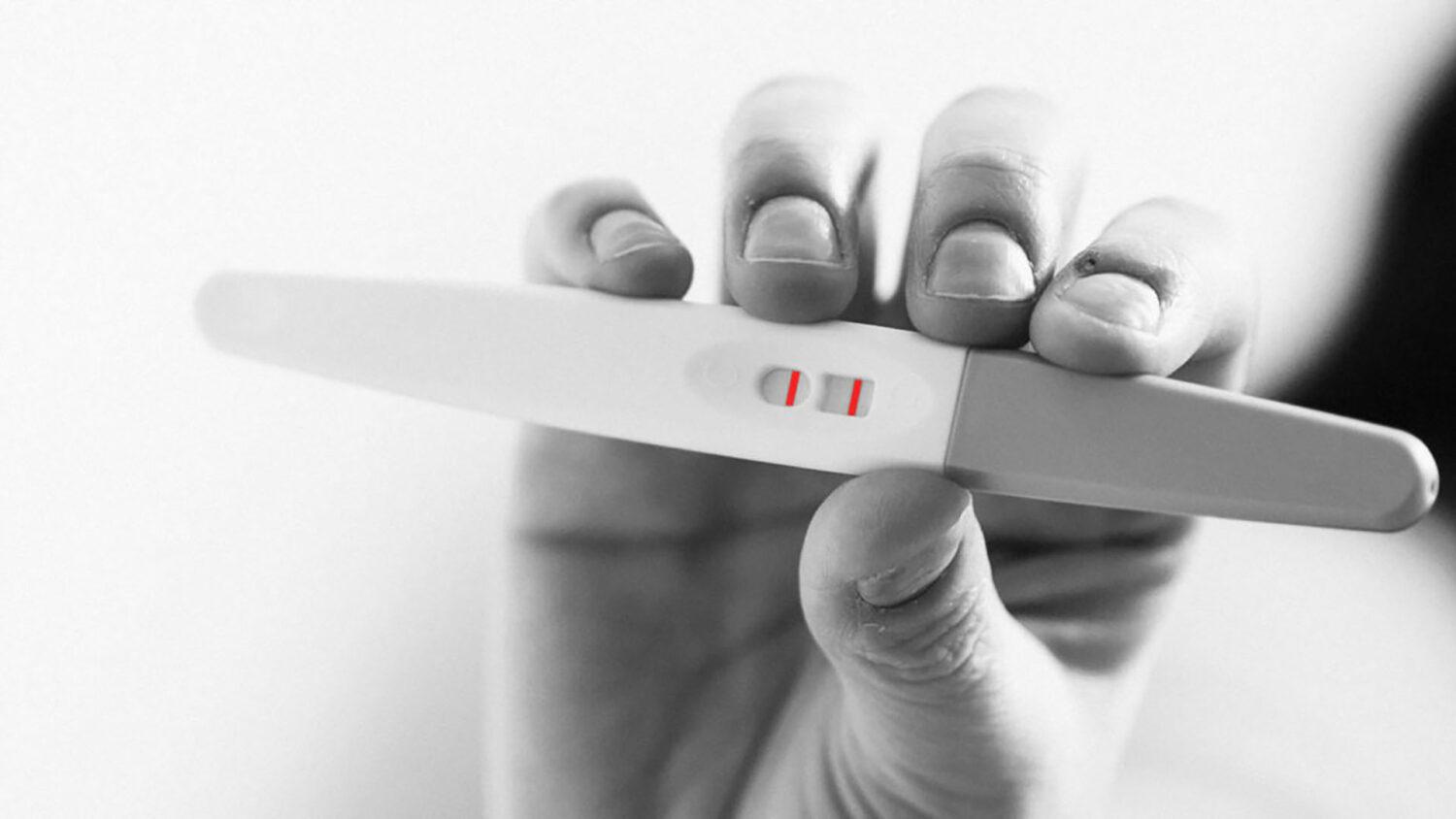 Poradňa Alexis, n.o. oslávila 11 rokov od svojho založenia