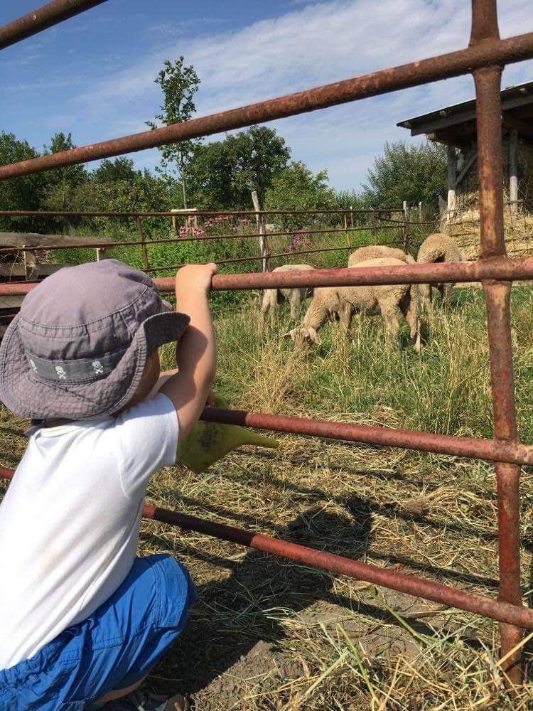 Manželia Jaššákovci: Neplodnosť nie je hanba, znamená to, že „teraz nemáme deti“