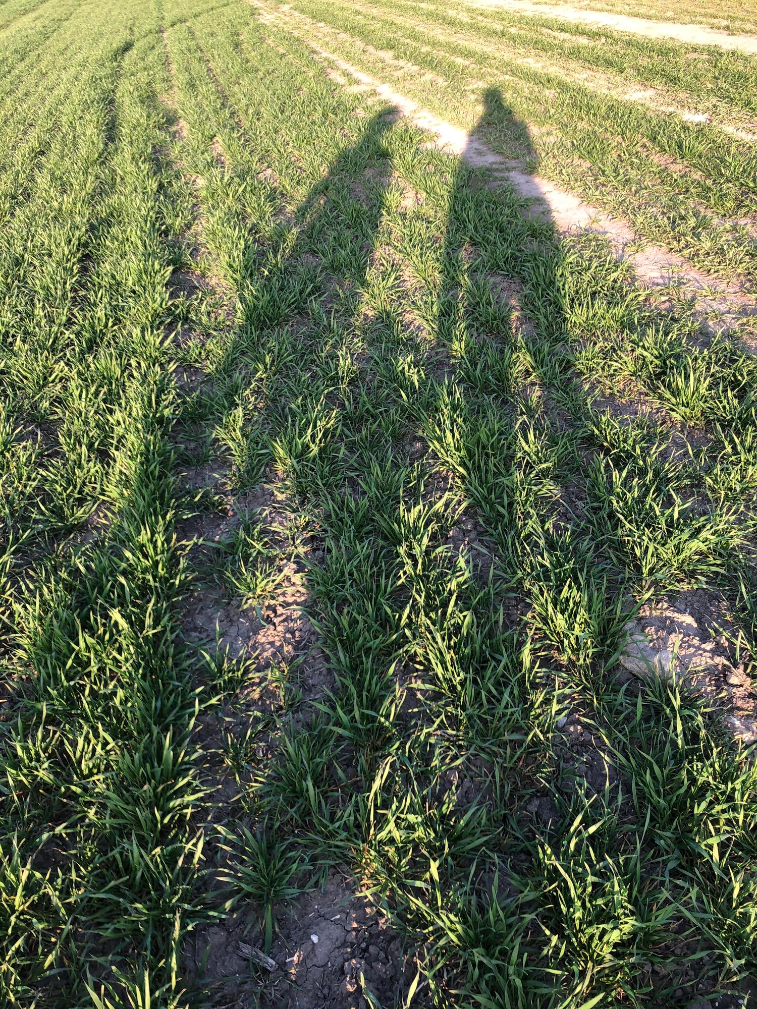 Manželia Jaššákovci: Neplodnosť nie je hanba, znamená to, že „teraz nemáme deti“