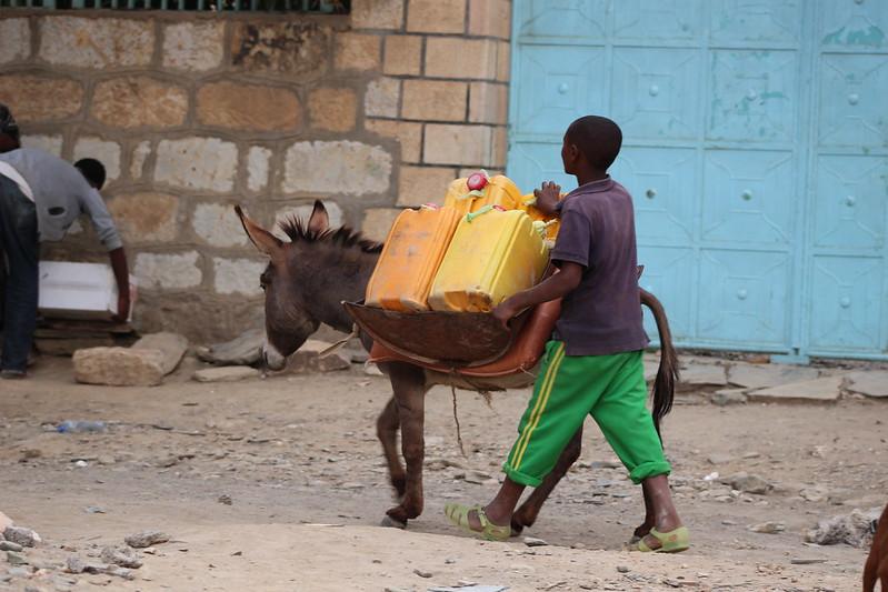 Vznikla iniciatíva Spolu pre Etiópiu, vyzýva na urgentnú pomoc obetiam vojny