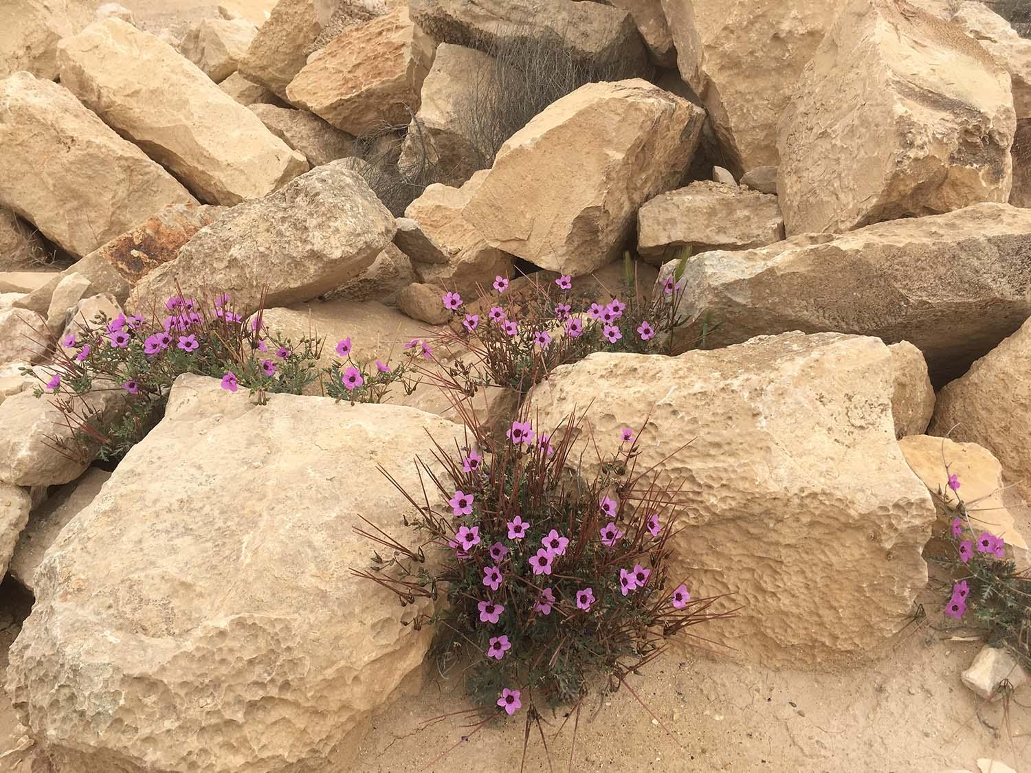 Kňaz Peter Olas: Dokážeme darovať almužnu?