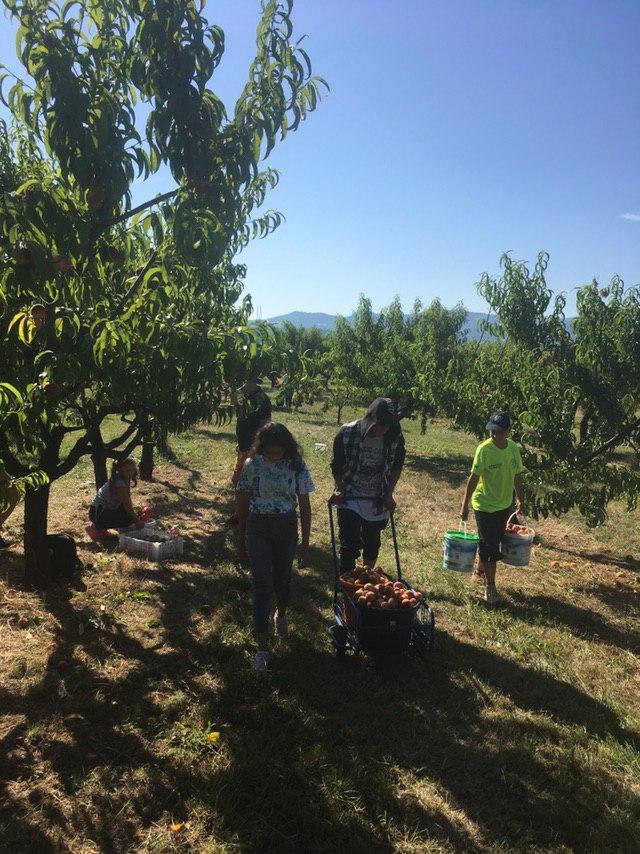 Anton Michalica: Je veľa rodín, ktoré sú v kritických situáciách