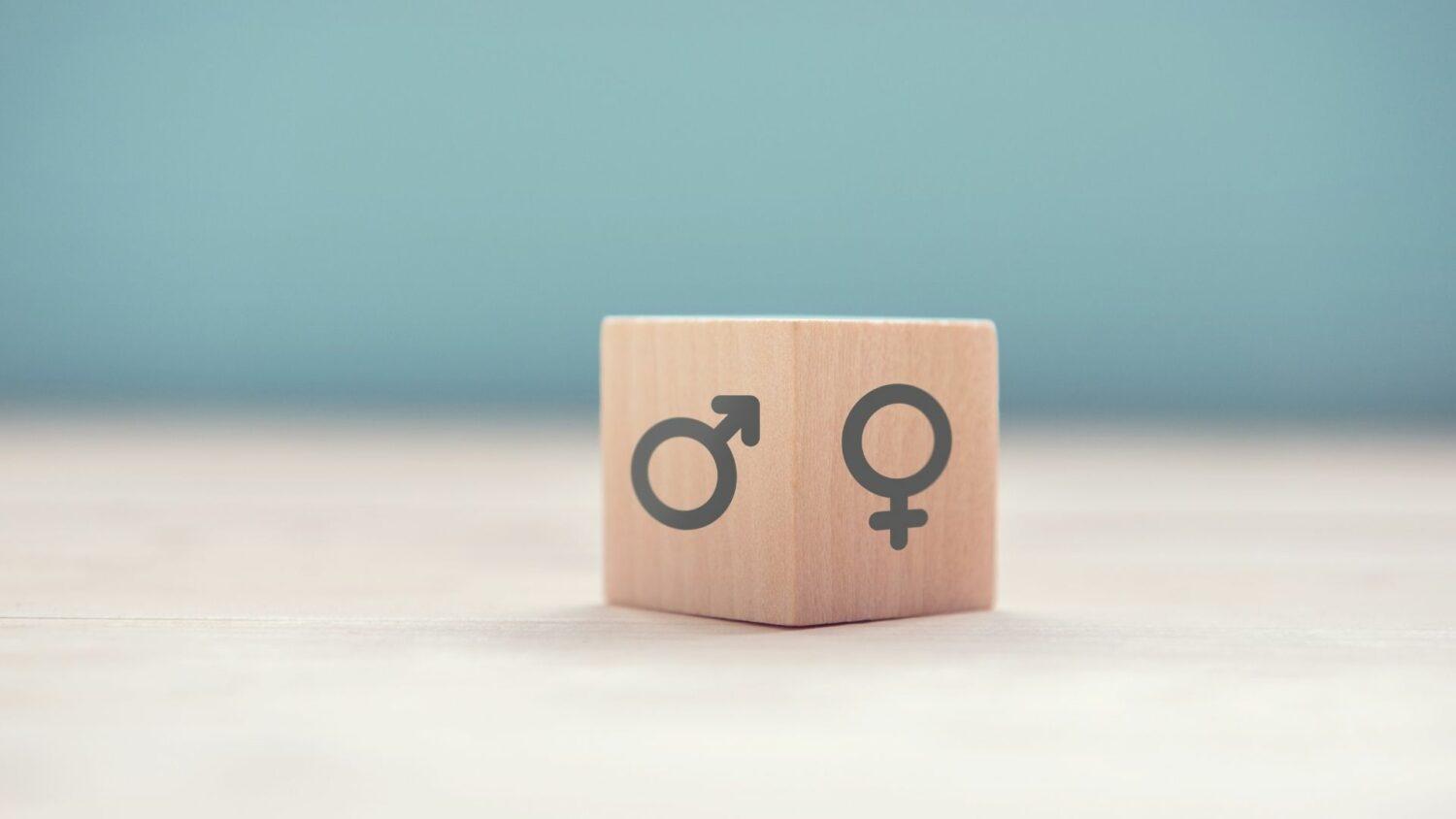 Z iniciatívy KDH nebude v hodnotovom dokumente európskych ľudovcov pojem ,,gender“