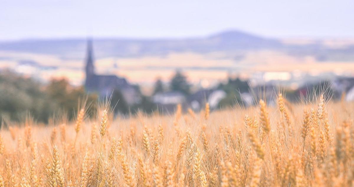 Bratislavská arcidiecézna charita prvýkrát vyhlasuje grantový program na podporu kreatívnej charitnej činnosti