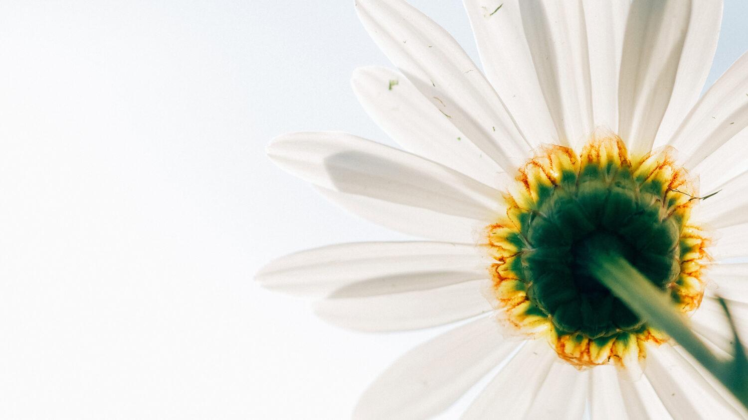 Masturbácia – prečo je hriechom a ako s ňou bojovať?