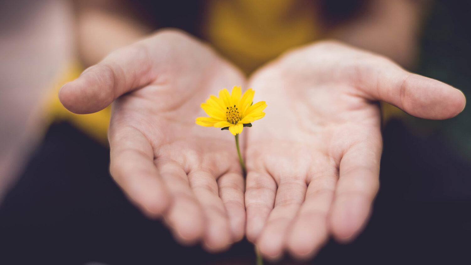 Dôveruj, ale… odpúšťaj?