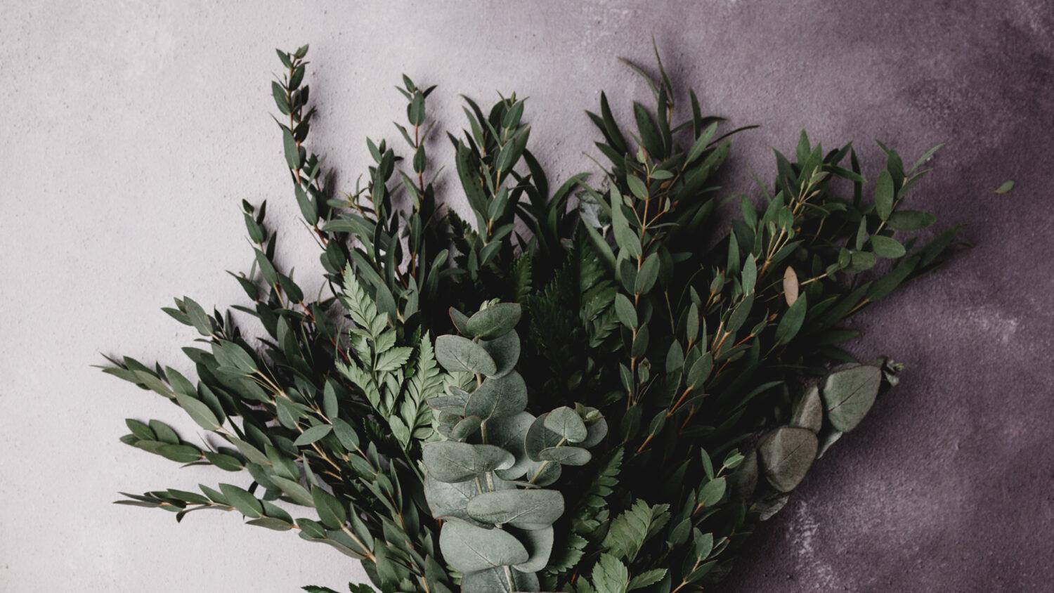 #teologiatela_Výročie rozdelenia západného kresťanstva: Pomôže teológia tela zjednotiť Kristovo telo?