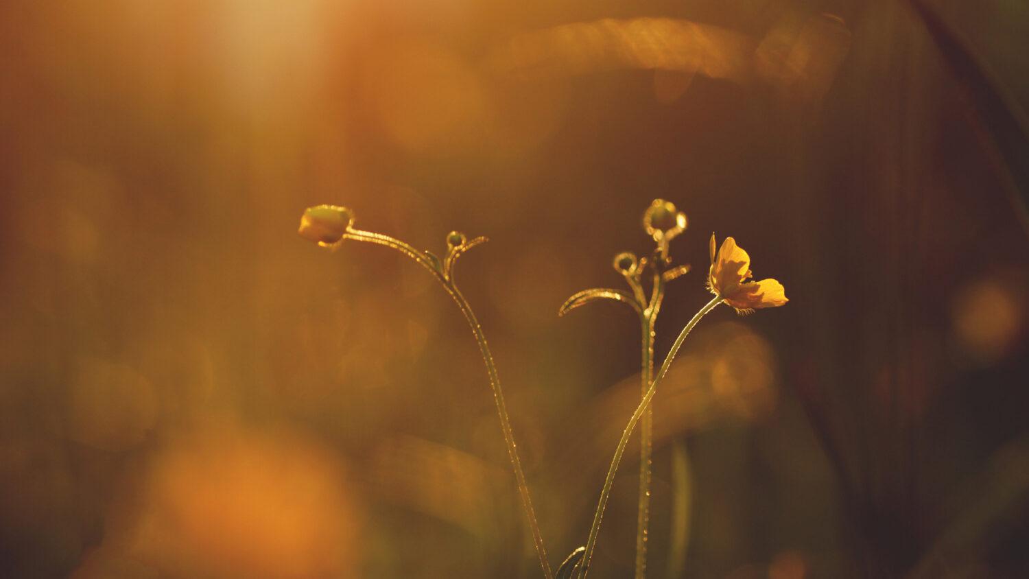 Pozor! Nálady nás dokážu zničiť.