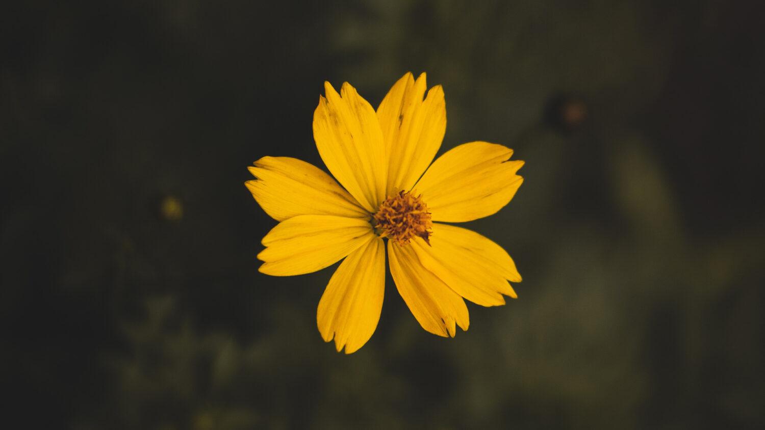 Chudoba, čistota a poslušnosť v 21. storočí