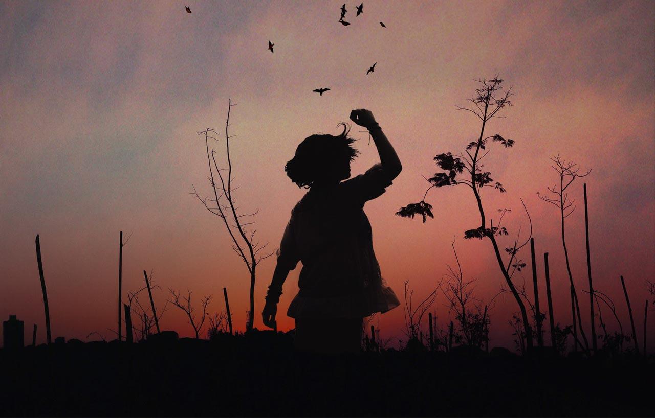 23 kľúčov k tajomstvu pohlavia, identity a ľudskej sexuality