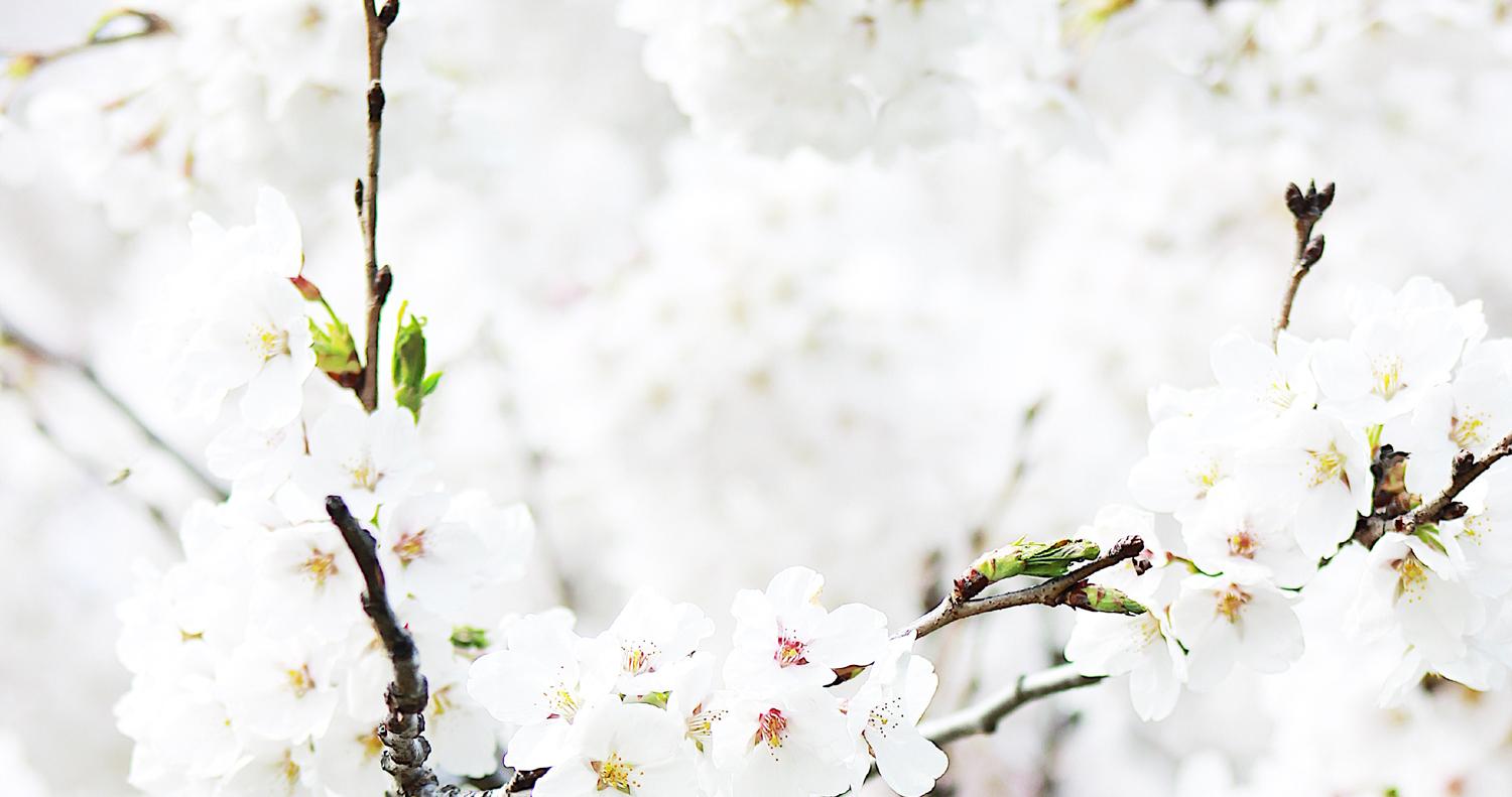 Manželia Valachovci: Čistota pre nás znamená milovať jeden druhého nesebeckou láskou