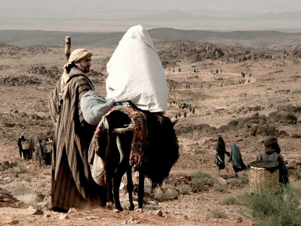 Aké miesto má Mária a jej uctievanie v Katolíckej cirkvi?