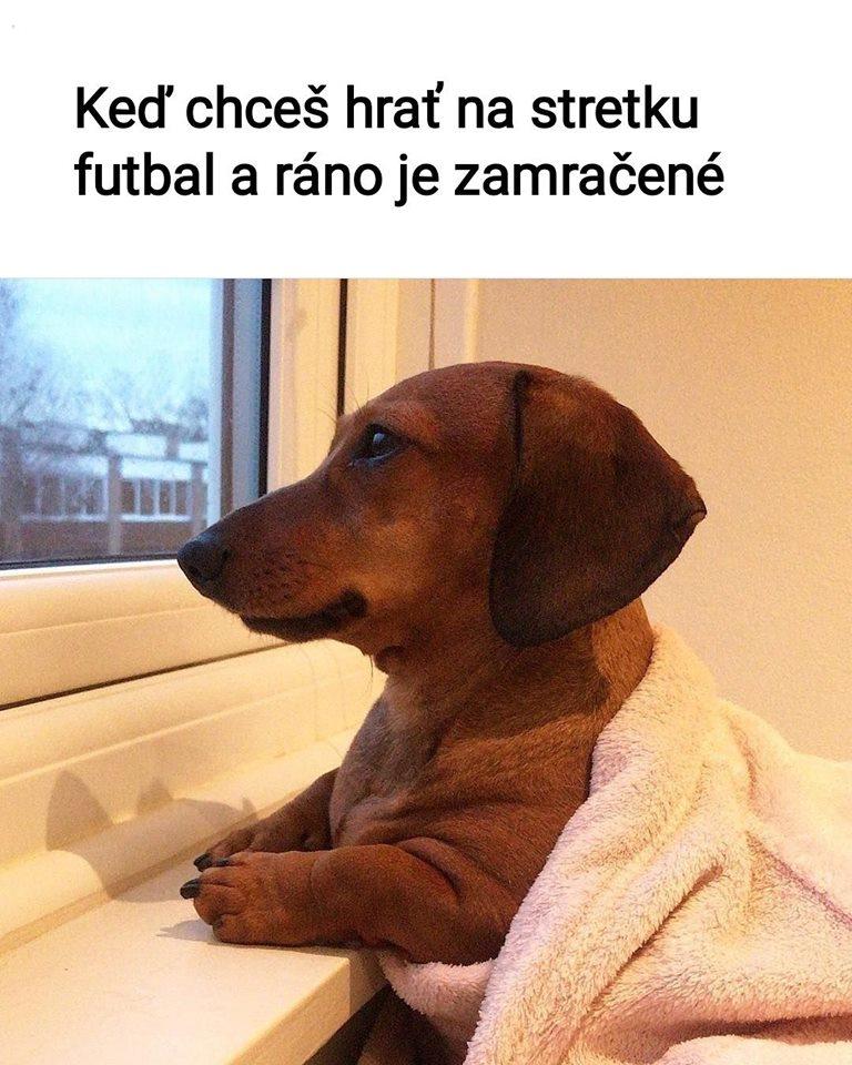 Dá sa hlásať evanjelium s humorom?