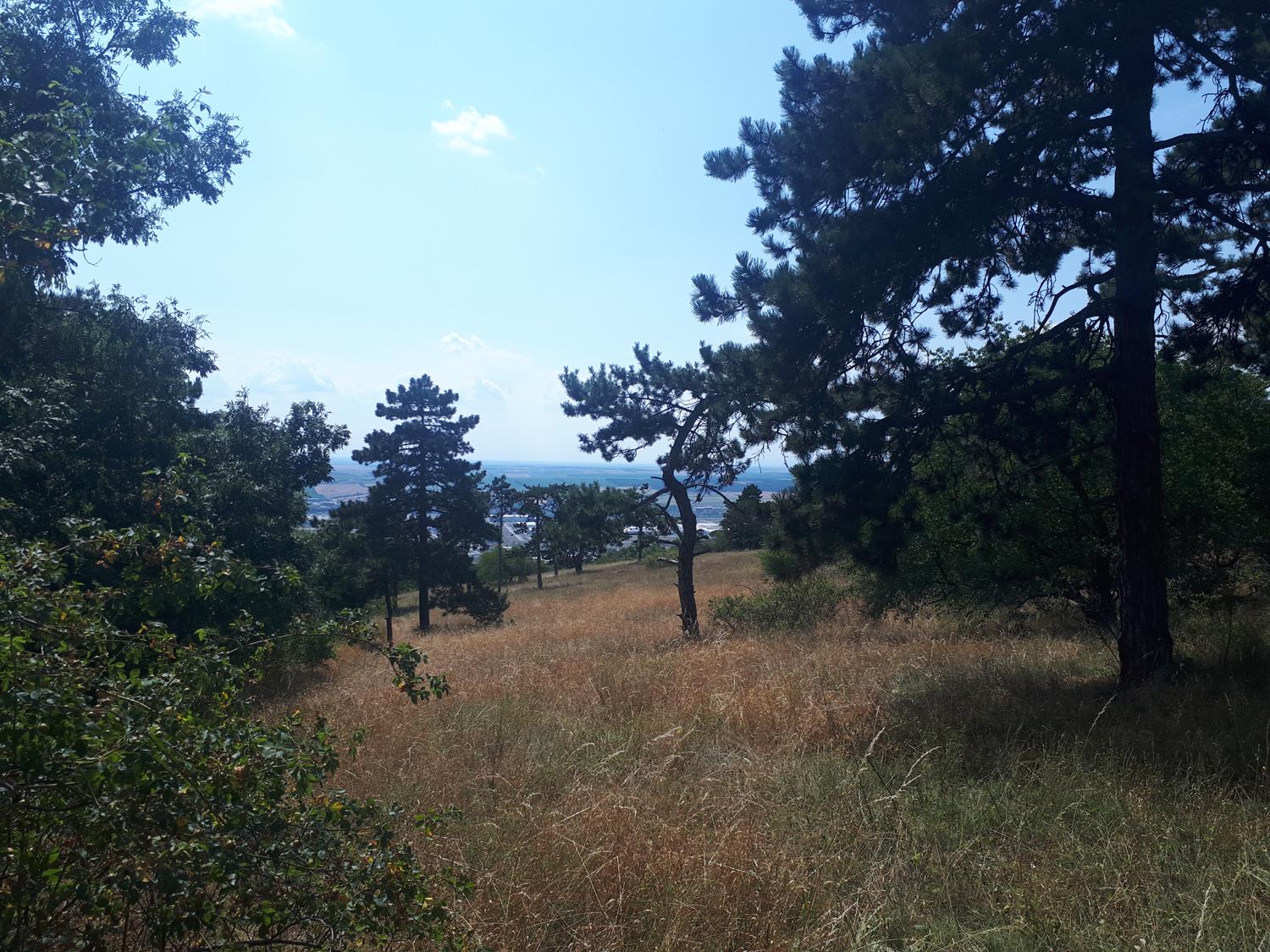 S Jakubom na Svätojakubskej ceste – 6. deň