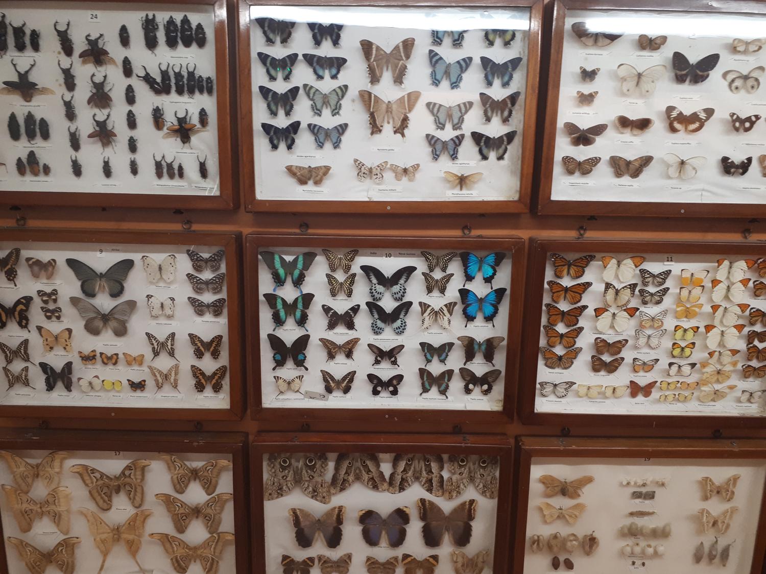 S Jakubom na Svätojakubskej ceste – 7. deň