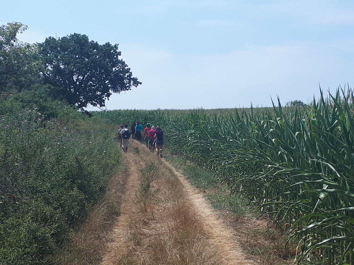 S Jakubom na Svätojakubskej ceste – 7. deň