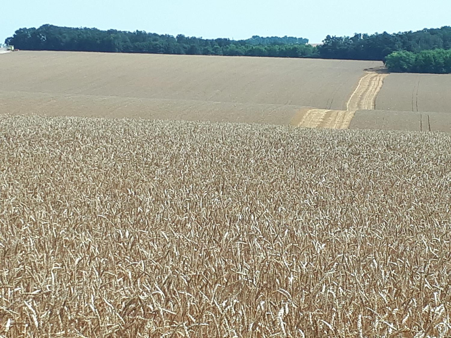 S Jakubom na Svätojakubskej ceste – 8. deň