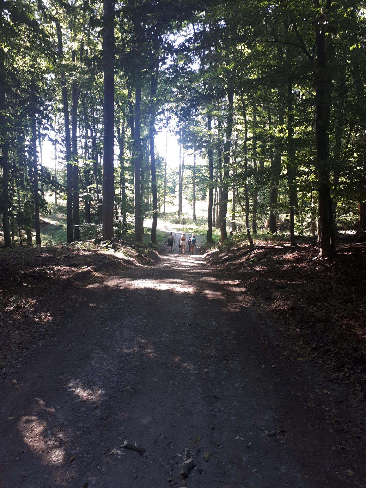 S Jakubom na Svätojakubskej ceste – 12. deň