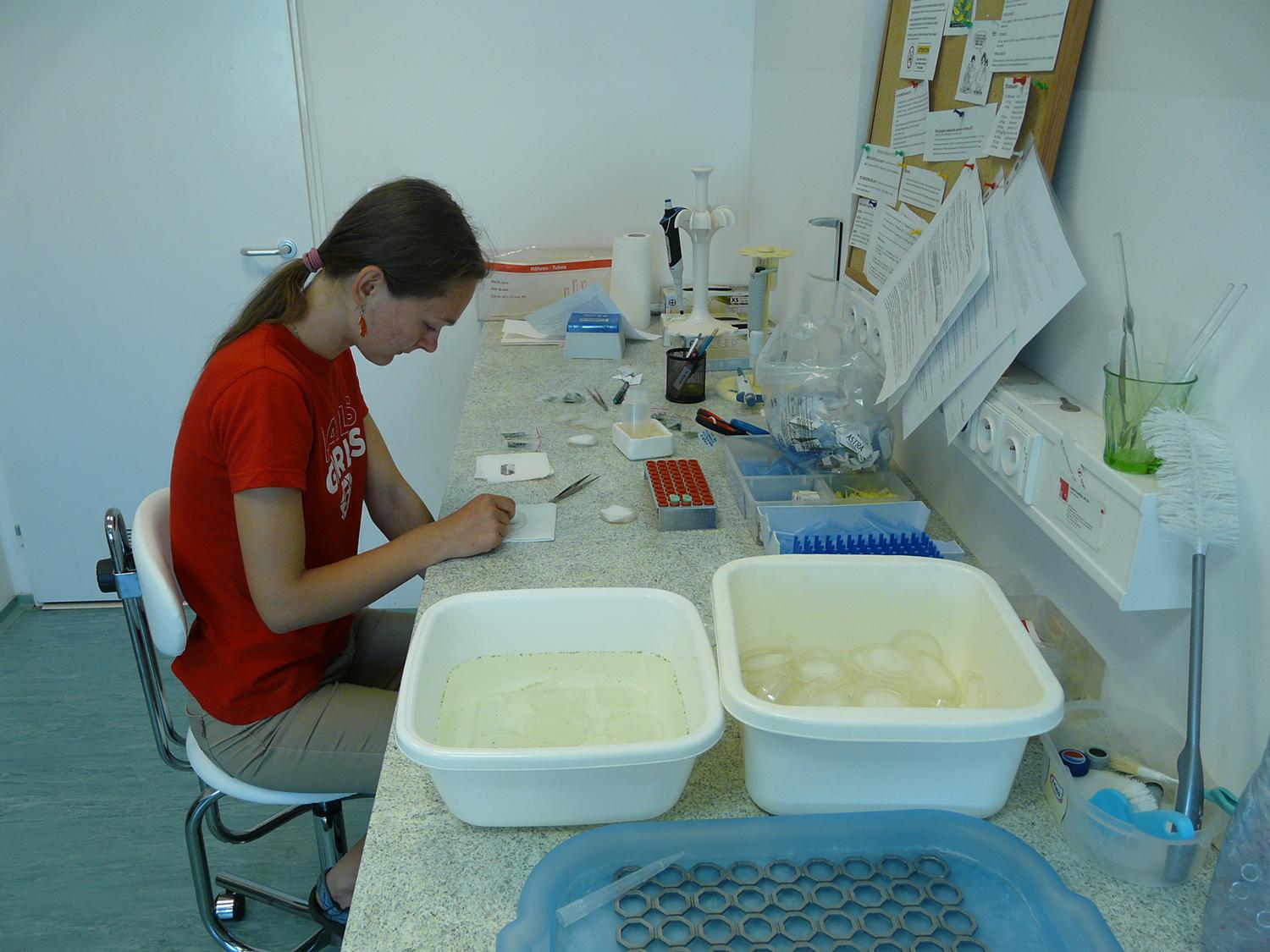 Svetlanka (21): Kresťan by mal mať v úcte stvorenie svojho Boha