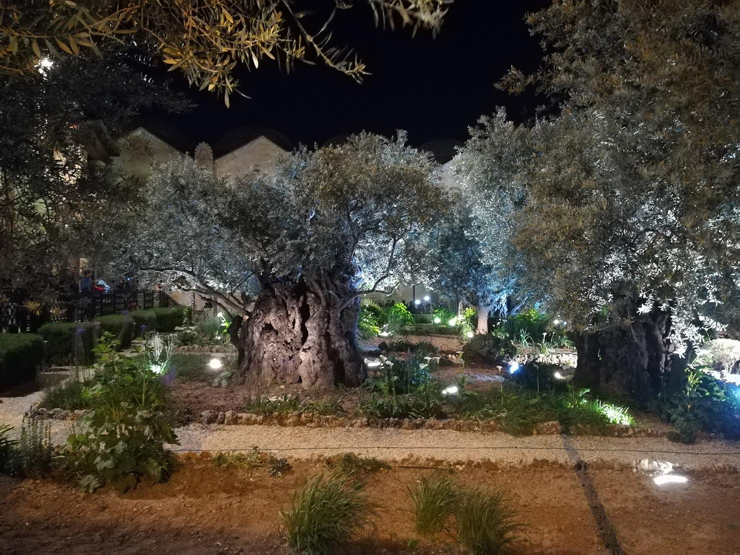 Františkán Karol Miroslav Švarc: V Jeruzaleme zaznieva posolstvo o zmŕtvychvstaní Krista skôr než všade inde