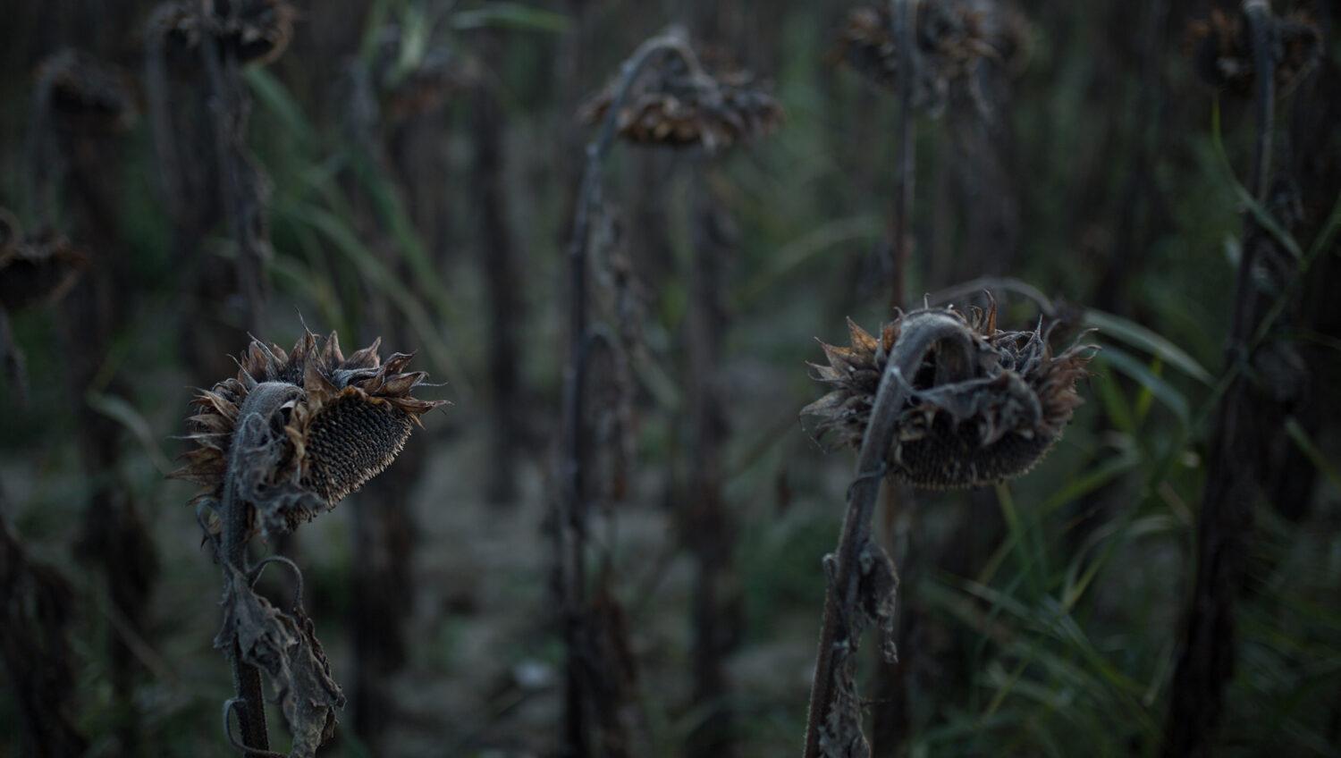 7 tipov, ako spoznať, že ste v nebezpečnom manželstve