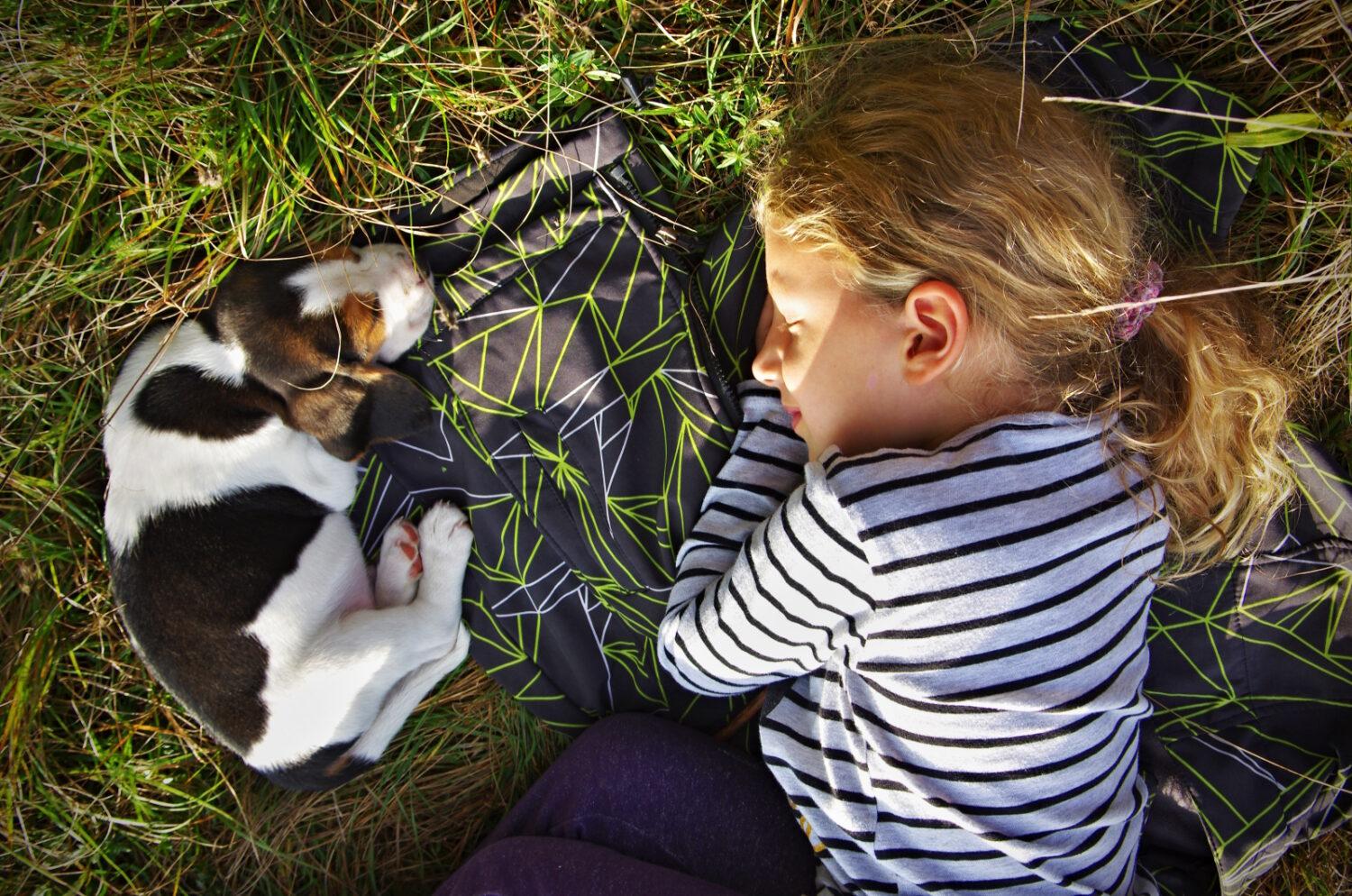 Na ceste k dobrému spánku…