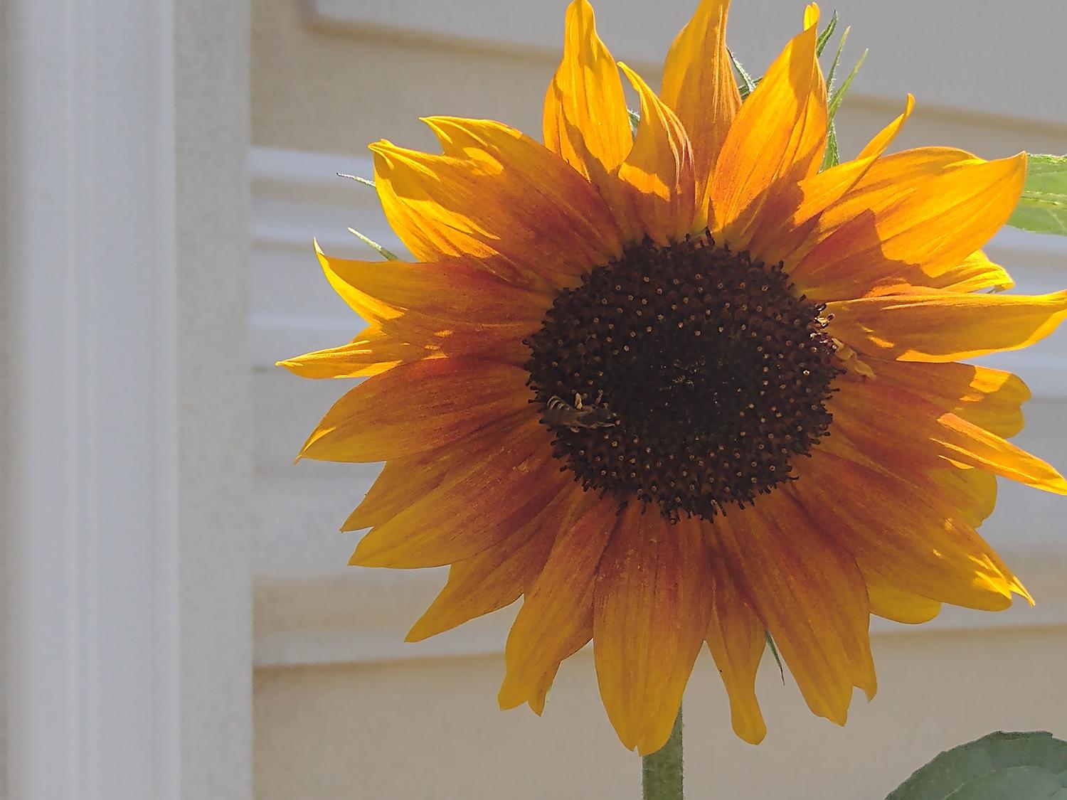 Duchovné centrum Lukov dvor: Miesto, kde sa na človeka pozerajú celostne