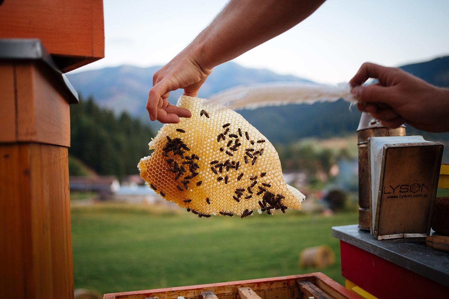 Včelár Peter Jánošík: Svet bez včiel by bol svetom bez nás